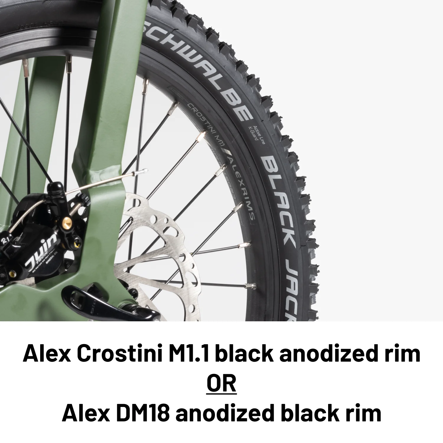 Birdy Gravel | 10-Speed | Performance Foldable Bike - Image 9